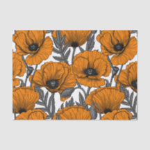 Orange poppies on white