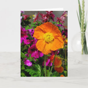Orange Poppy card