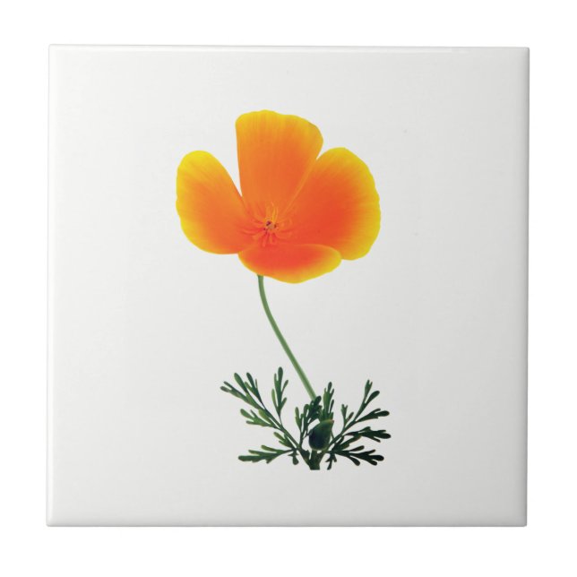 orange poppy ceramic tile (Front)