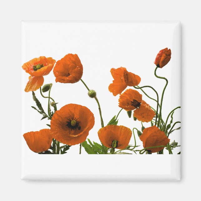 Orange Poppy Flowers Watercolor Floral Patterns Magnet (Front)