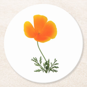 orange poppy round paper coaster