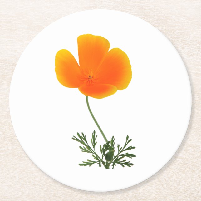 orange poppy round paper coaster (Front)