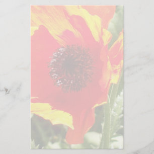 Orange Poppy Stationery