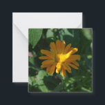 Orange Pot Marigold Flower (Calendula officinalis) Card<br><div class="desc">Calendula officinalis,  the pot marigold,  common marigold,  ruddles,  Mary's gold or Scotch marigold,  is cheerful bedding flower. Gardeners recognised the benefits of having these bright,  orange-yellow flowers present in a garden. Floral photography.</div>