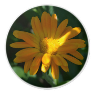 Orange Pot Marigold Flower (Calendula officinalis) Ceramic Knob