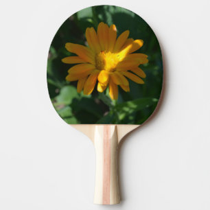 Orange Pot Marigold Flower (Calendula officinalis) Ping Pong Paddle
