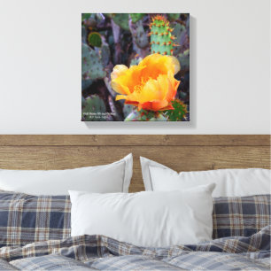 Orange Prickly Pear Cactus Flower Blossom Canvas Print