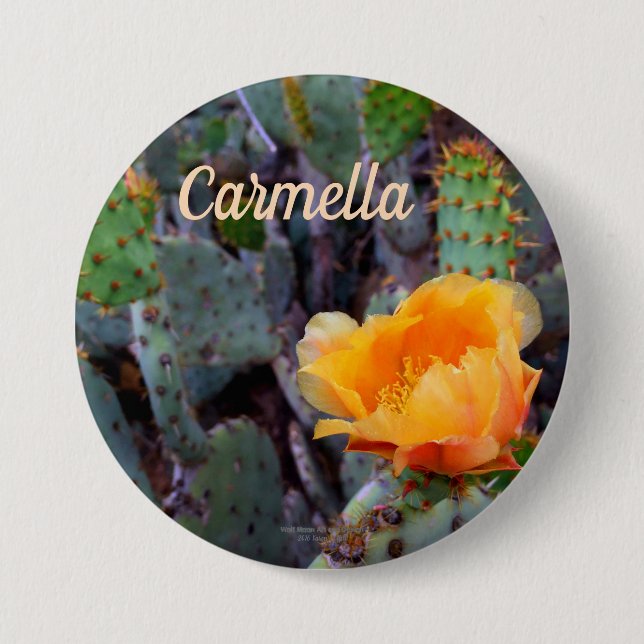 Orange prickly pear opuntia cactus flower photo 7.5 cm round badge (Front)