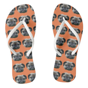 Orange pug dog flip flops
