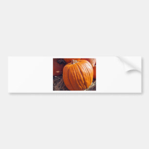 Orange Pumpkin Bumper Sticker