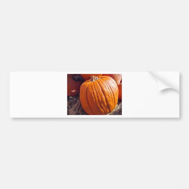 Orange Pumpkin Bumper Sticker (Front)