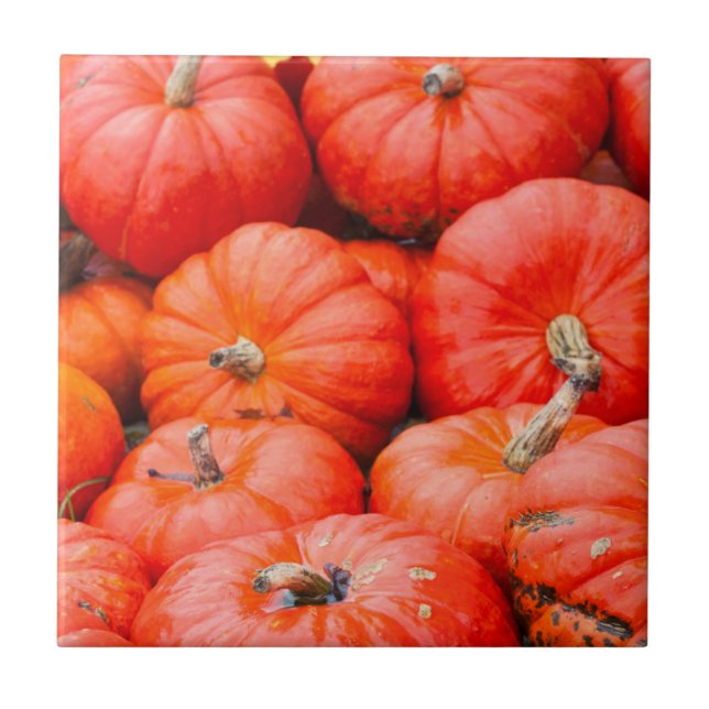 Orange pumpkins at market, Germany Ceramic Tile (Front)