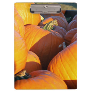Orange Pumpkins Trailer Clipboard