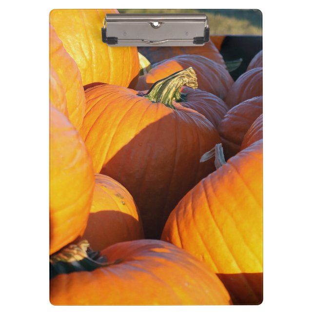 Orange Pumpkins Trailer Clipboard (Front)