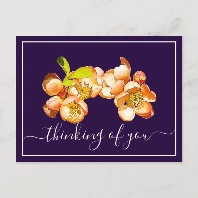 Orange Quince Violet Background Thinking Of You Postcard (Front)