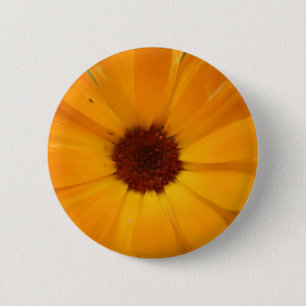 Orange Rain Daisy Button
