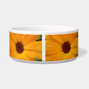 Orange Rain Daisy Dog Bowl