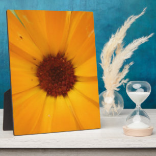 Orange Rain Daisy Plaque