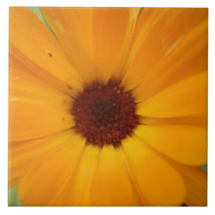 Orange Rain Daisy Tile