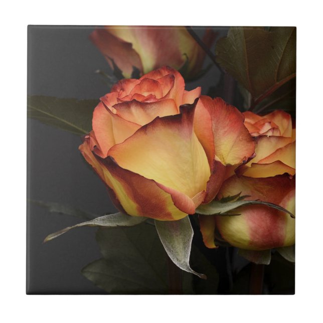 Orange, Red and Yellow Roses Ceramic Tile (Front)