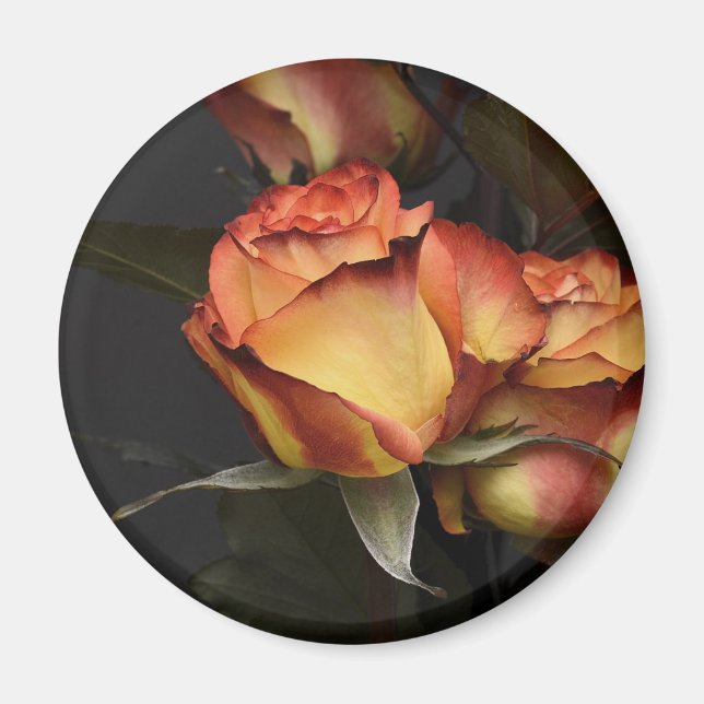 Orange, Red and Yellow Roses Magnet (Front)