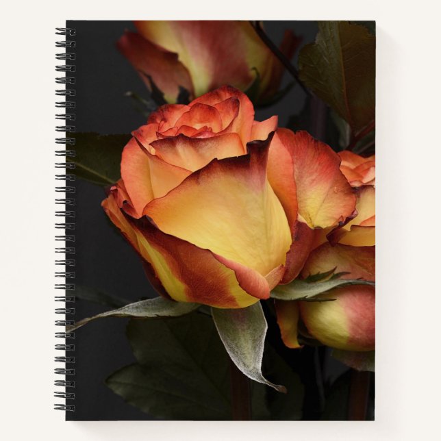 Orange, Red and Yellow Roses Notebook (Front)
