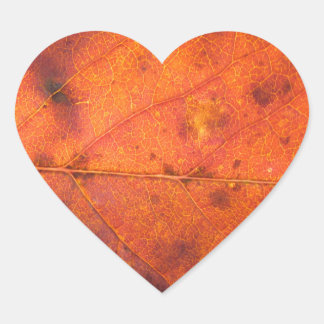 Orange-Red Autumn Leaf Photo Stickers
