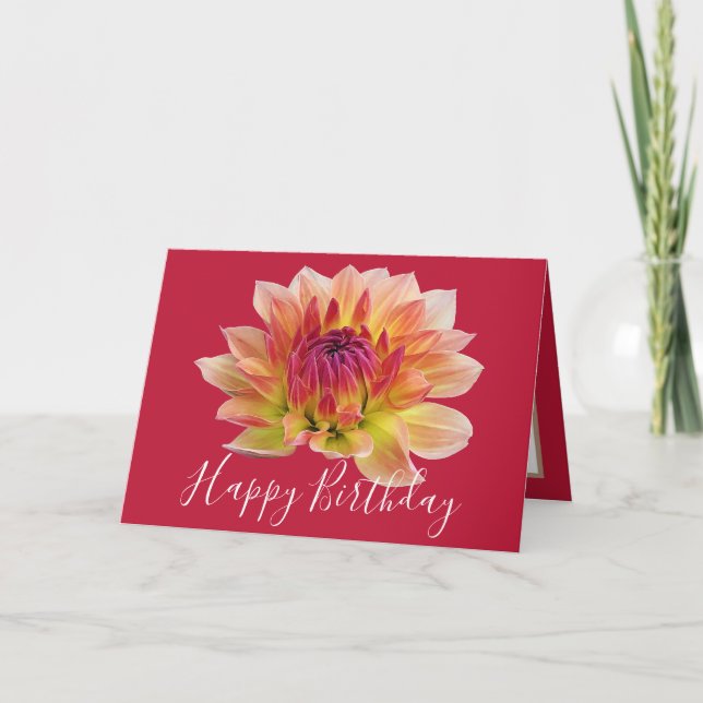Orange Red Dahlia Flower Red Background Birthday Card (Front)