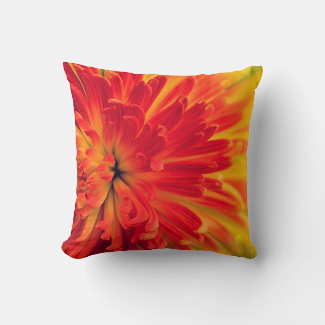 Orange-red flower cushion (Front)