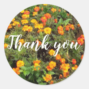 Orange red green botanical flower thank you classic round sticker