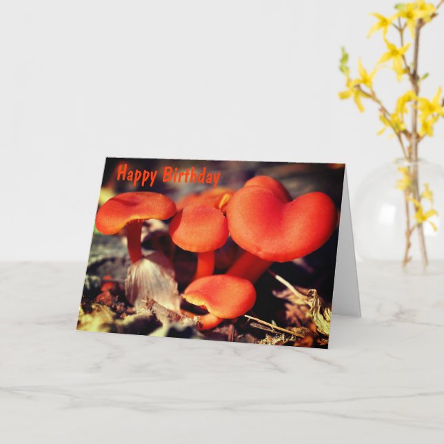 Orange Red Mushrooms Nature Birthday  Card (Yellow Flower)