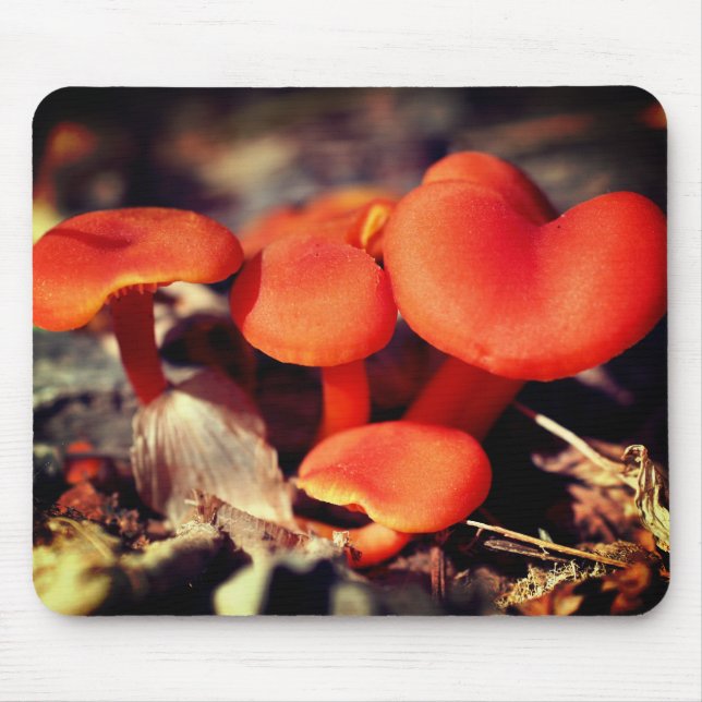 Orange Red Mushrooms Nature  Mouse Pad (Front)