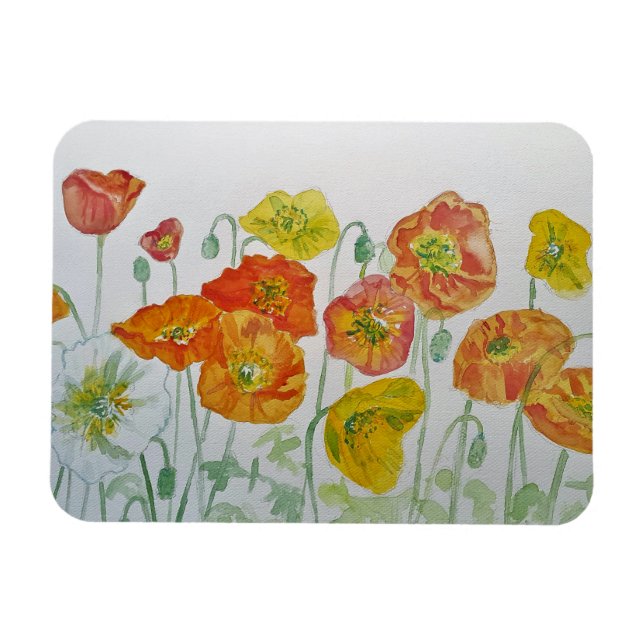 Orange red Poppies Watercolour Birthday Magnet (Horizontal)