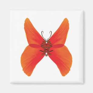 Orange Red Poppy Butterfly with Your Name Magnet