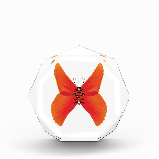 Orange Red Poppy Butterfly with Your Name Photo Block (Front)