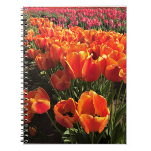Orange & Red Tulips Notebook