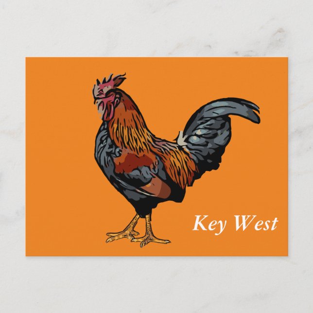 Orange Rooster Key West Post Card (Front)