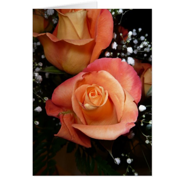 Orange Rose (Front)