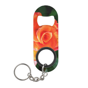 Orange rose
