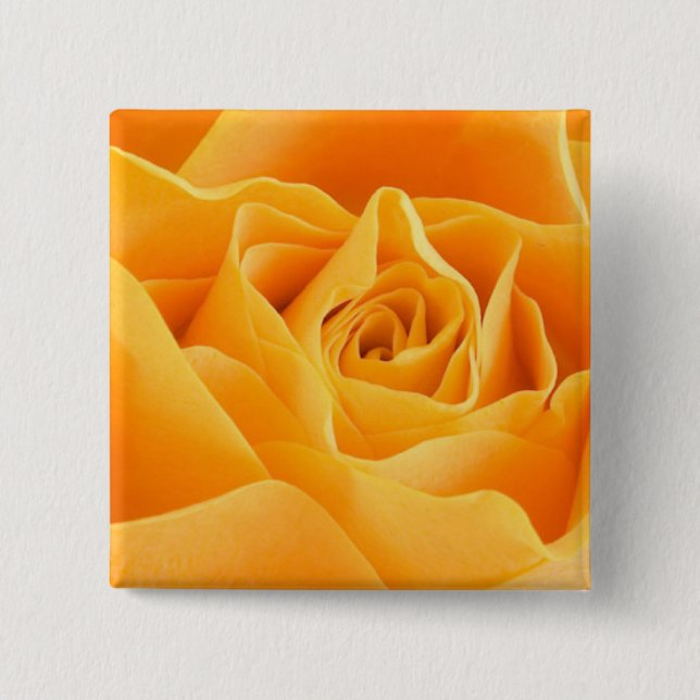 Orange Rose 15 Cm Square Badge (Front)