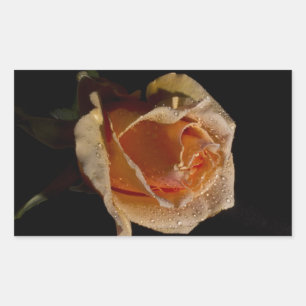 Orange Rose 1 Rectangular Sticker