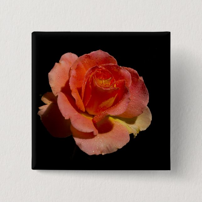 Orange Rose 2 15 Cm Square Badge (Front)