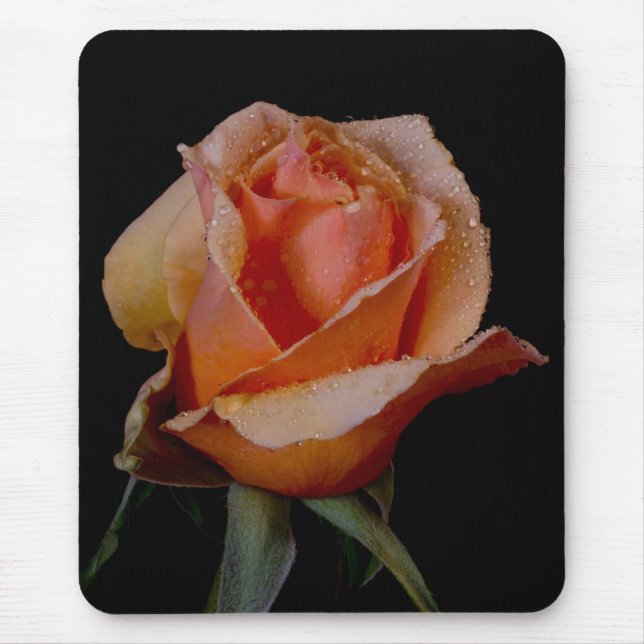 Orange Rose 3 Mouse Pad (Front)