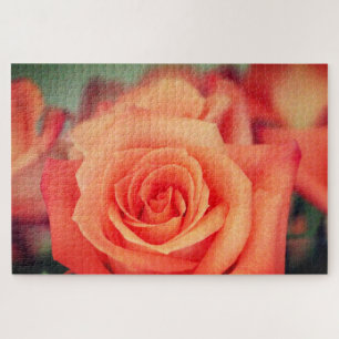 Orange Rose Bloom Jigsaw Puzzle
