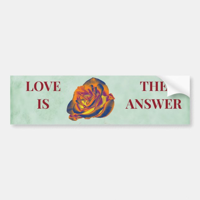 Orange Rose Bumper Sticker (Front)