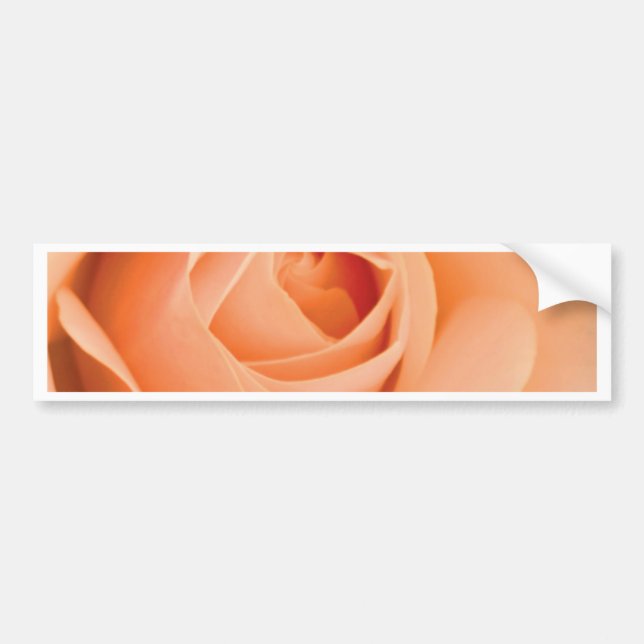 Orange Rose Bumper Sticker (Front)