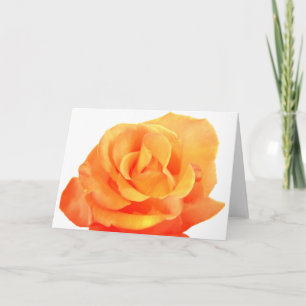 Orange Rose Card