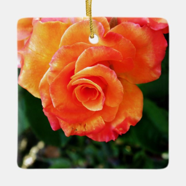 Orange rose  ceramic ornament (Front)