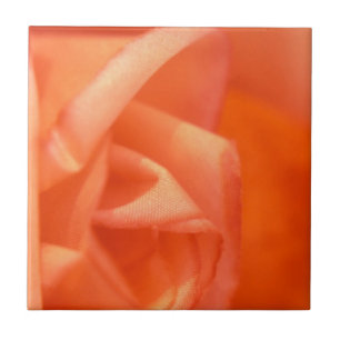 Orange rose ceramic tile