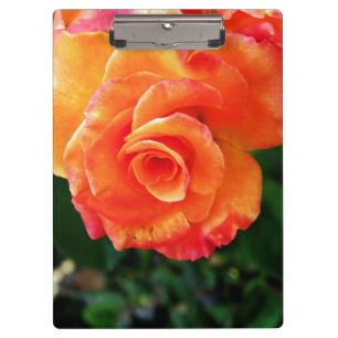 Orange rose clipboard